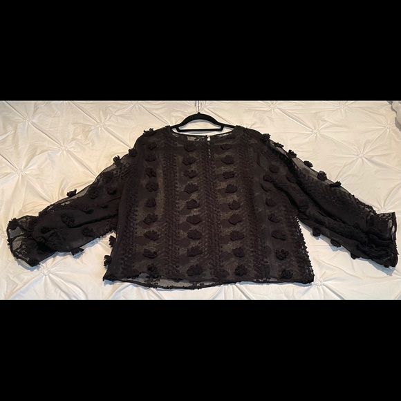 SHEIN Sheer Long Sleeve Blouse - Picture 1 of 5